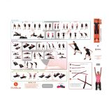 SVELTUS RUBBERFIT LATEX GYUMIGYŰRŰ SZETT (4db) + DOBOZ + POSZTER