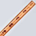 Blitz eskrima bot (égetett mintával)